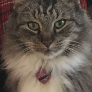 Meet your Posher, Denise